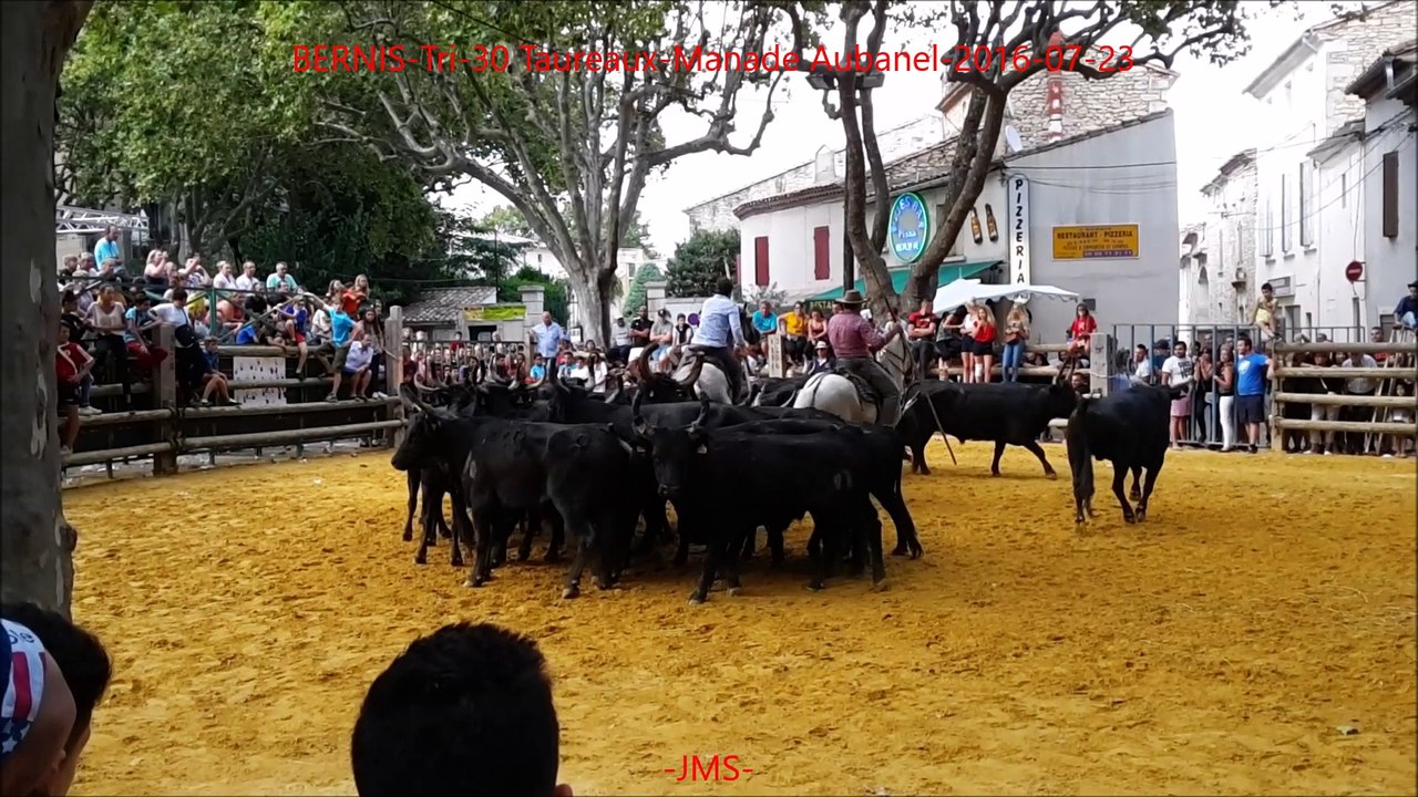 BERNIS-Tri-30 Taureaux-Manade Aubanel-2016-07-23