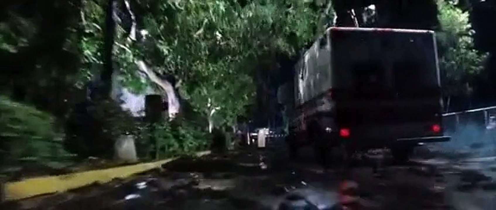 Frog Rain In New York Horrible