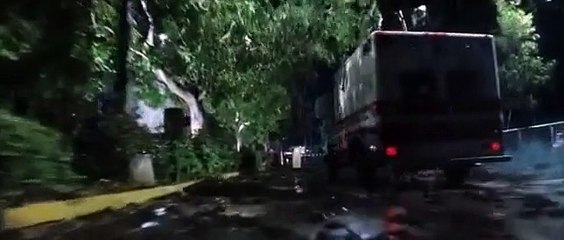 Frog Rain In New York Horrible