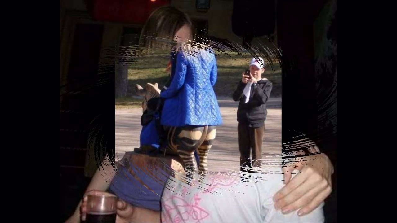 50 Funny Pictures TROLL Make Viewers Misunderstanding ✔✔ Videos engraçados 2016