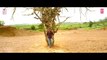 Netthuru Udike Full Video Song -- Krishnagadi Veera Prema Gaadha (KVPG) -- Nani, Mehr Pirzada
