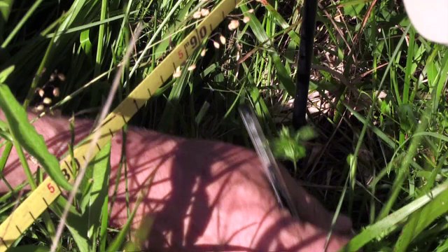 Botanique: les herbiers, histoires vivantes de la biodiversité