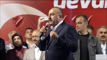 Konya'da Demokrasi Mitinginde Çavuşoğlu Konuştu