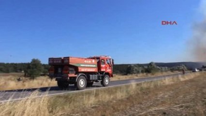 Kütahya Tavşanlı'da Orman Yangını