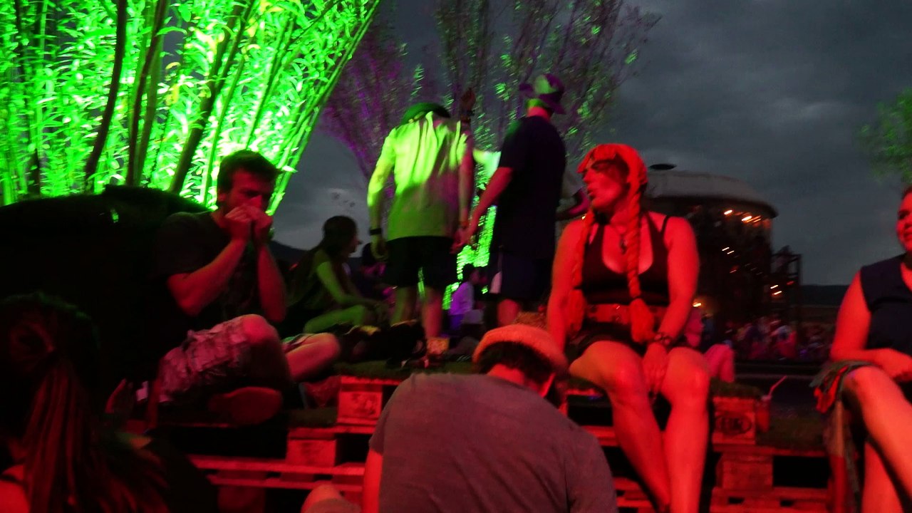 Paléo 2016 - Emission TV du dimanche