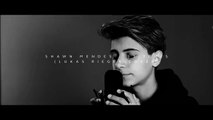 Lukas Rieger Cover - Shawn Mendes - Stitches