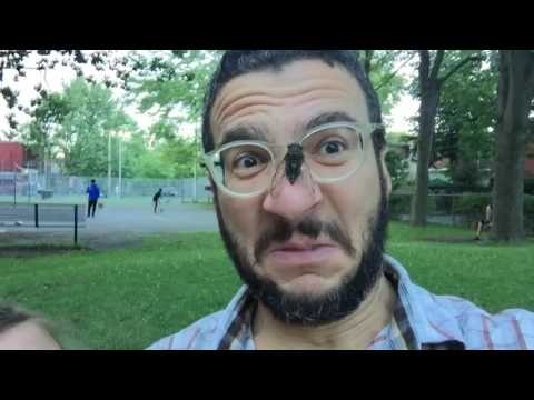 Dad Freaks Out When Cicada Lands on His Face