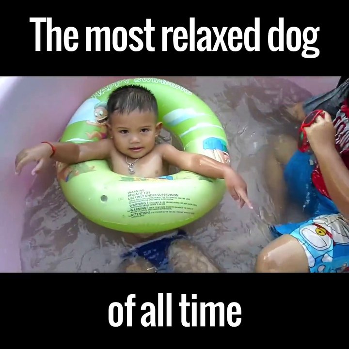 I wish my life was this calm... via ViralDog