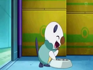 Oshawott eats while I play fitting music.