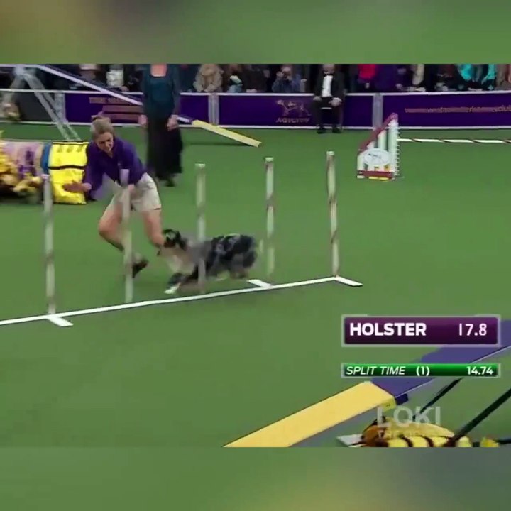 Don't let your dreams be dreams