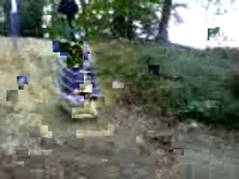 Jackass caddie boul 3