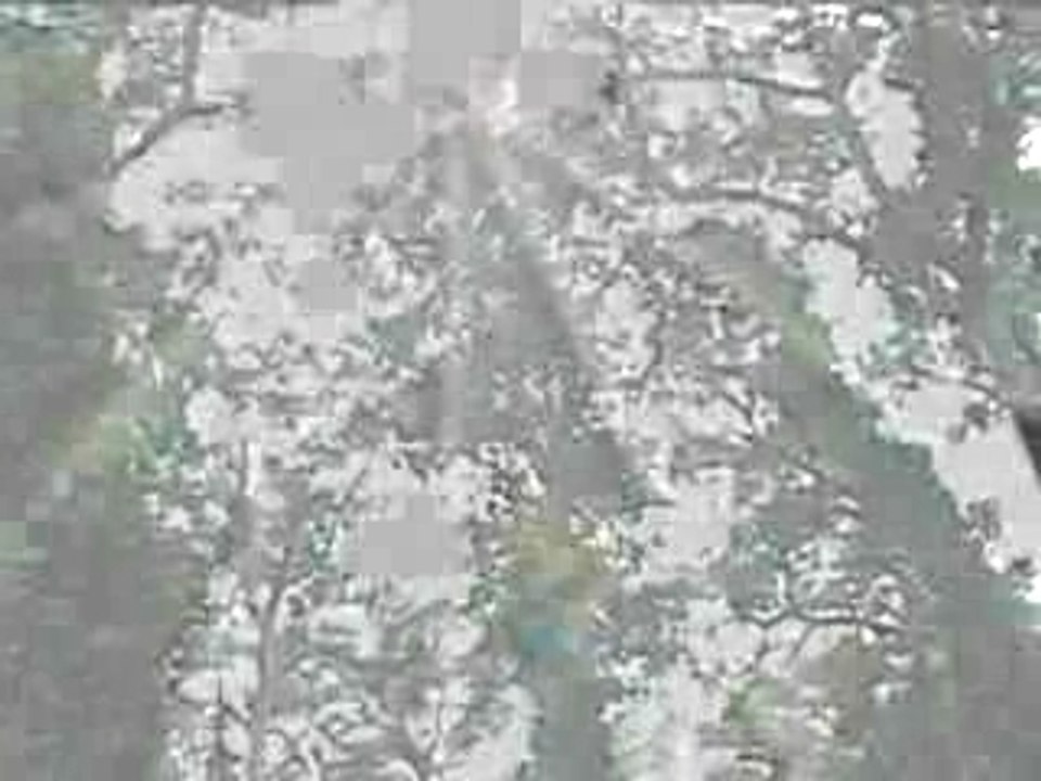 MEMORIES (DEMO)