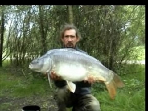 carpe de graviere, no kill