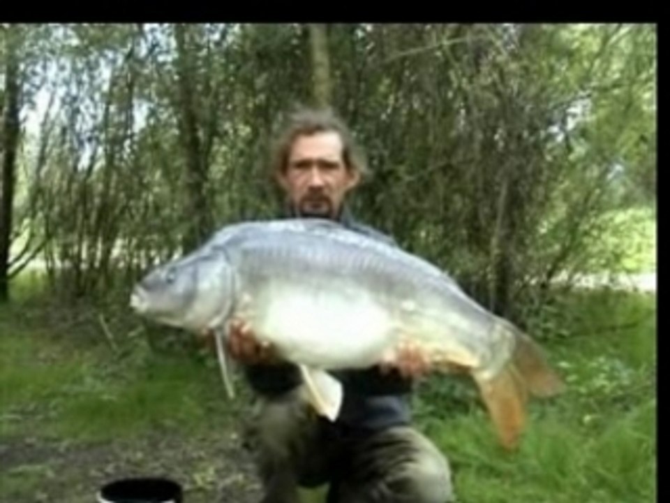 carpe de graviere, no kill