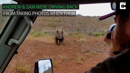 Rhino Charges At Photographers It's good