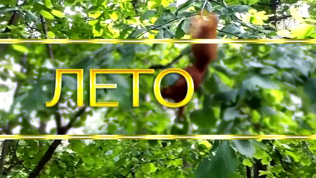 Катастрофа в Италии