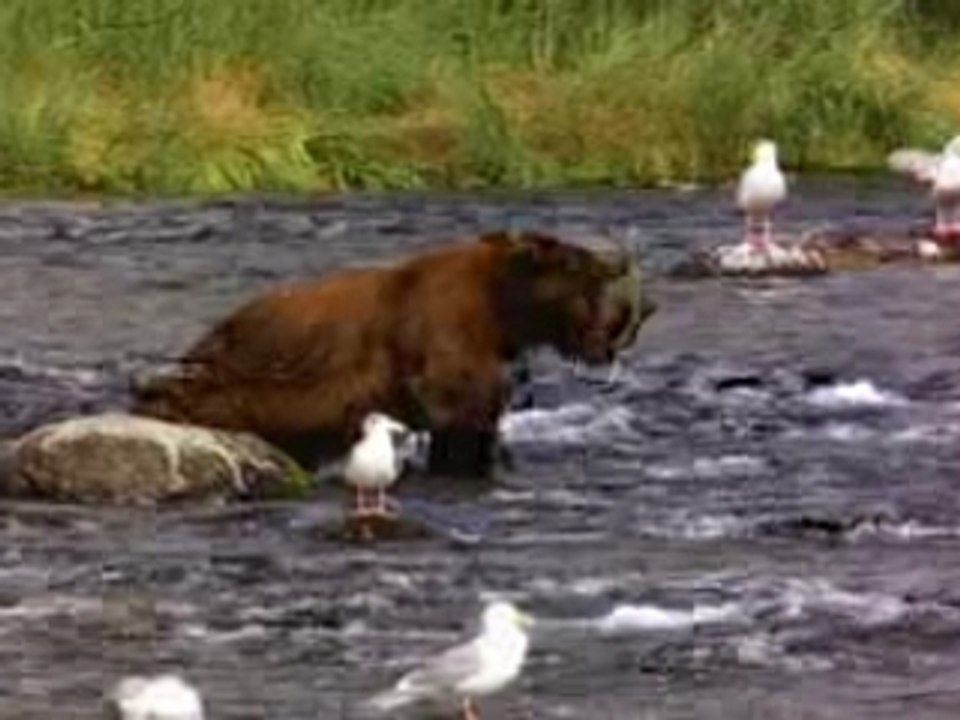 ours