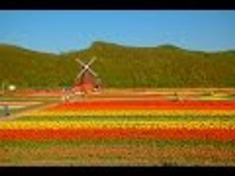 7 Amazing Windmills Around the World