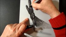 Rajesh Jain 2G-Trick Art Drawing 3D Crocodile