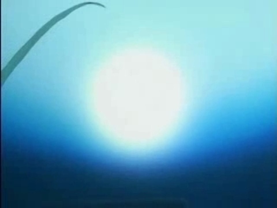 [AMV] Bleach - try d