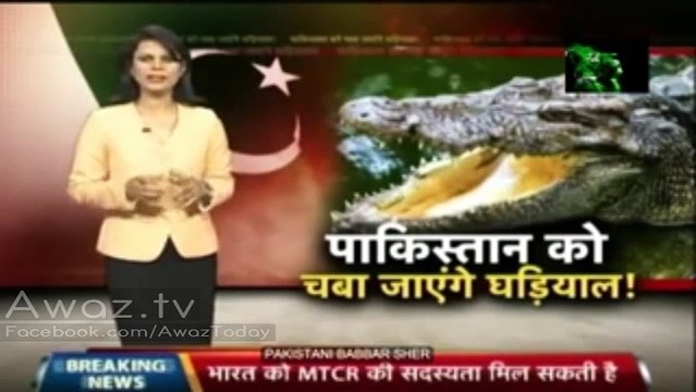 Another Rubbish reporting by Indian Media - Crocodiles are Guarding Indian Border from Pakistan