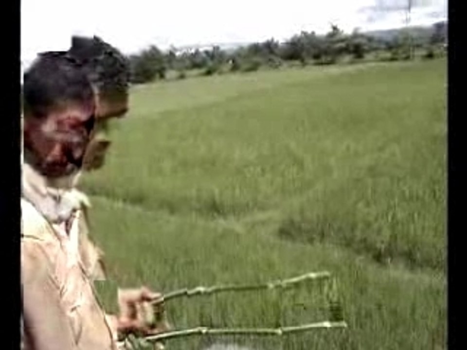 Death_in_Kaziranga