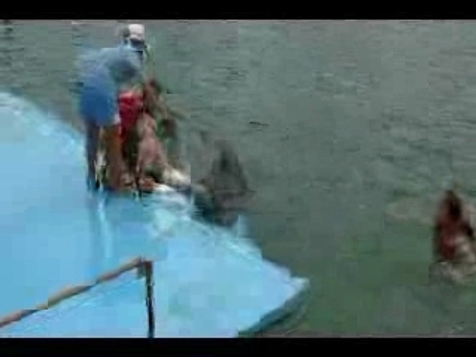 Dolphin hump