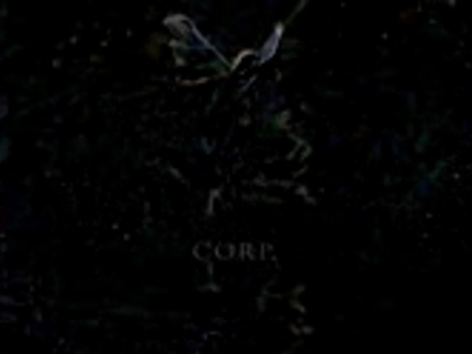 Ne le dis à personne French