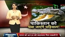 Crocodiles Are Guarding Indian Border With Pakistan - Indian Media