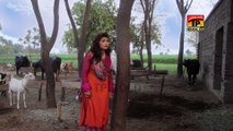 Dhola We Tere Piche Rule Wadde Hain - Wajid Ali Baghdadi - Latest Punjabi And Saraiki Song 2016