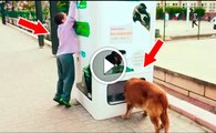 Máquina alimenta animais abandonados por cada garrafa que é reciclada! Que achas desta iniciativa?