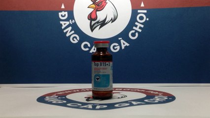 TOP B15+3, Thuốc chích nuôi gà đá nhanh tăng bo, tới Pin, tới đá