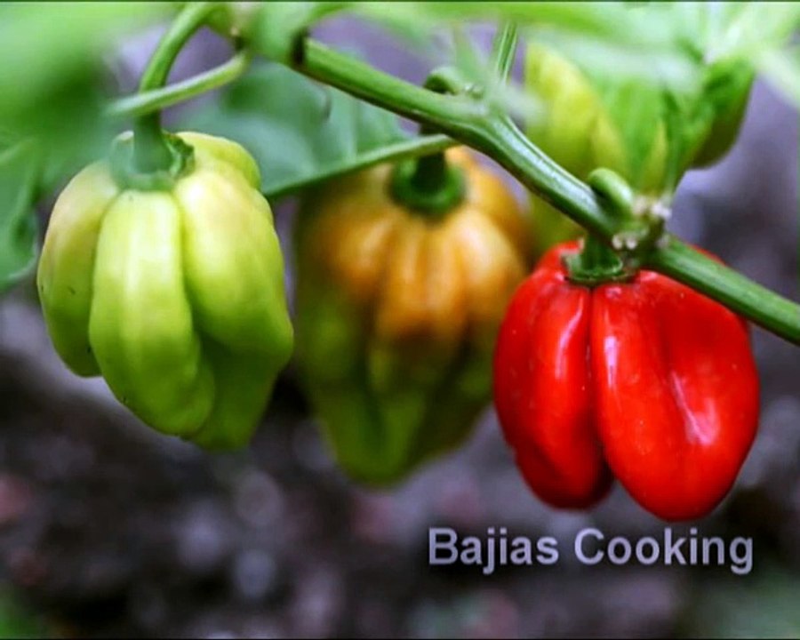 - JOLLOF RICE BEEF - Bajias Cookinge