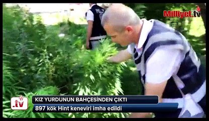 FETÖ'nün kız yurdunda Hint keneviri ele geçirildi