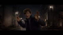 Les Animaux Fantastiques (Bande-annonce)