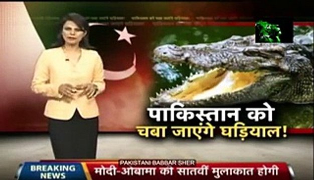 Crocodiles are Guarding Indian Border from Pakistan