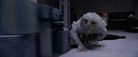 Fantastic Beasts and Where To Find Them - Official Comic-Con Trailer