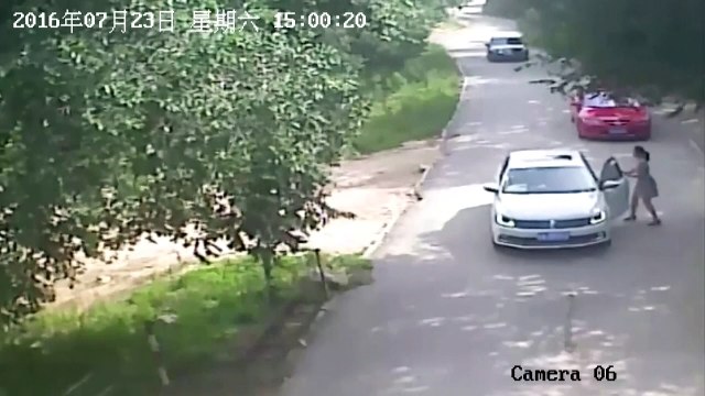 Woman mauled to death by tiger at Chinese wildlife park