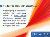 Choose WordPress - Redesigning Your Website