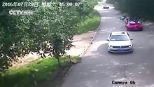 #Viral: Impresionante: un tigre ataca a una mujer que se baja de un auto