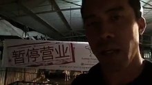 Marc Ching dénonce les conditions exécrables de ces pauvres bêtes
