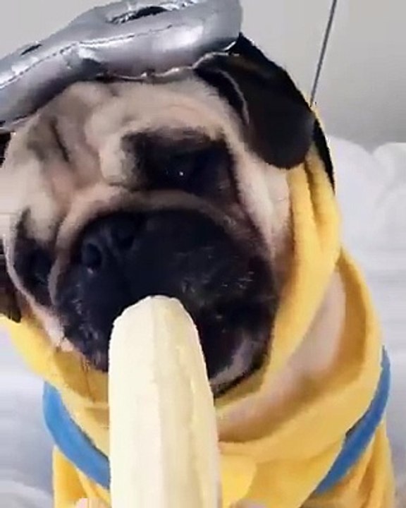 la banane délicieuse