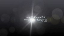 Circle T Feeds - (325) 665-1483