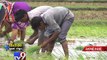 Lack of irrigation water puts farmers under pressure in Sanand - Tv9 Gujarati