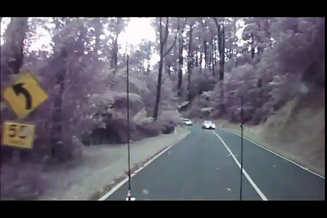 Manquer de se prendre un arbre en voiture en pleine tempête