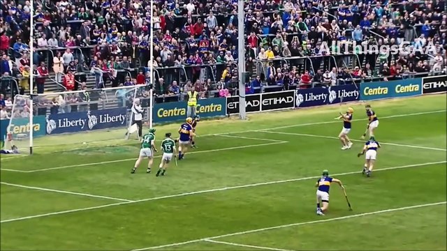 Meilleurs arrêts de gardiens au Hurling , sport Irlandais de fou