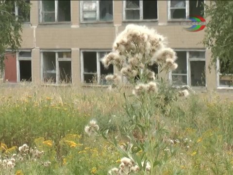 Субботник возле бывшей ОШ 23