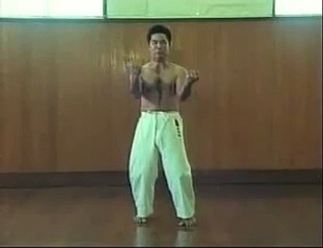 Goju Ryu Karate Sanchin Kata