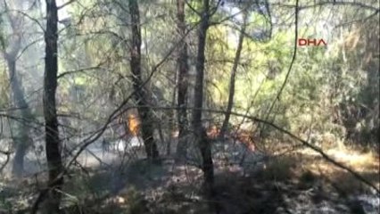 Çanakkale Bayramiç'te Orman Yangını -2