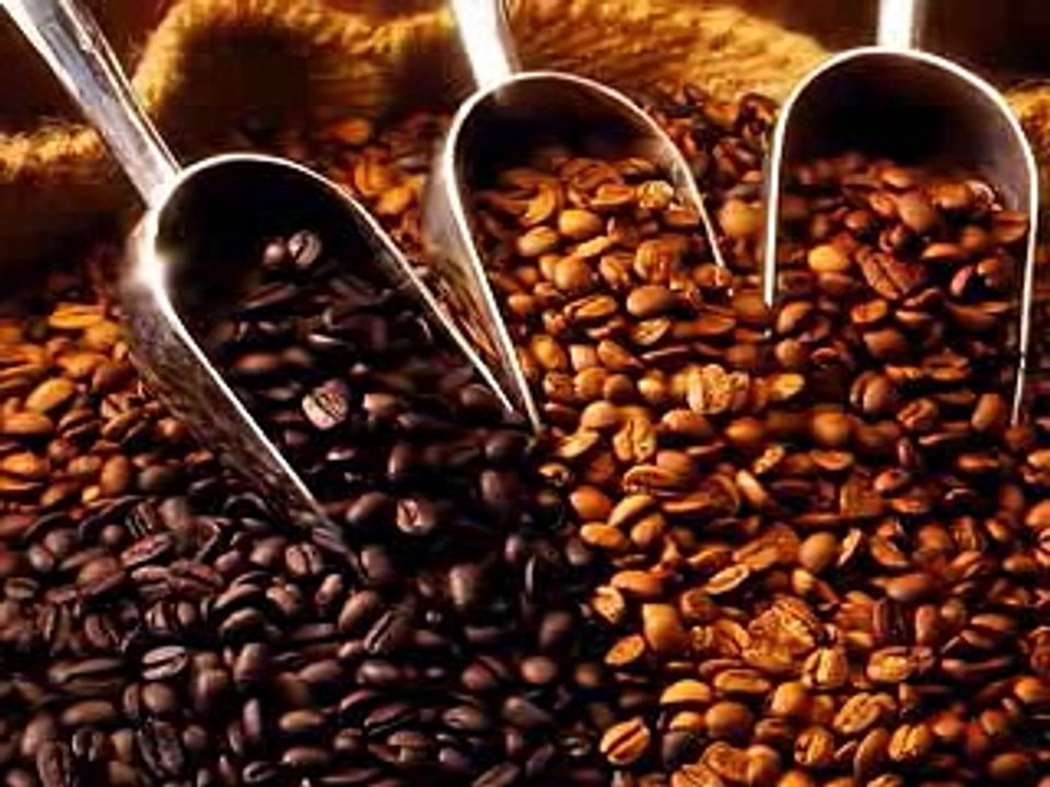 CCL Products (India) Limited Makers of the Richest Instant Coffee
